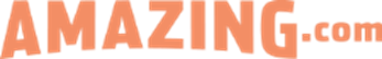 Matt & Jason – The 2017 Amazing Seller Summit